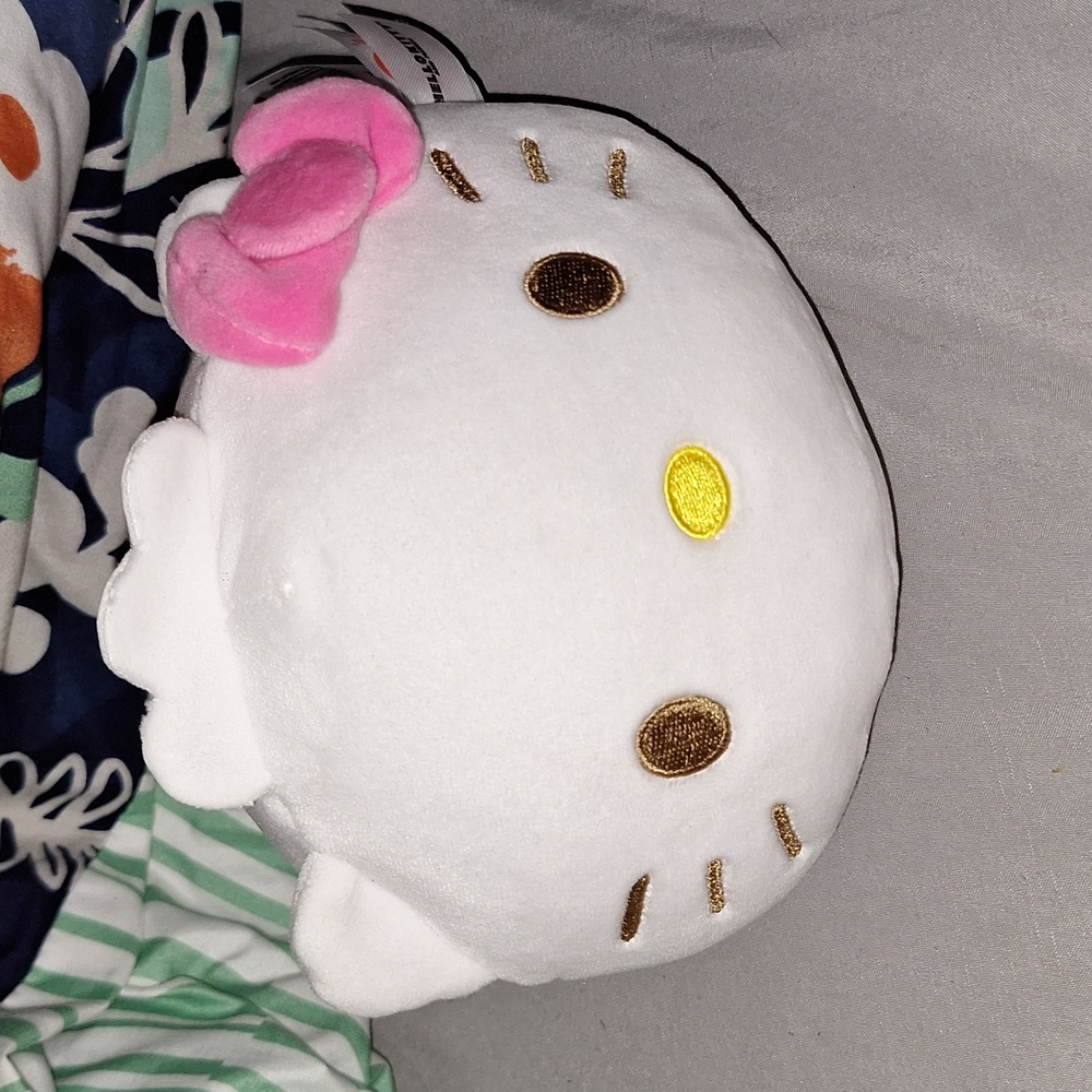 Hello kitty plushie